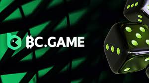 Exploring Pakistan BC.Game Casino Your Gateway to Online Gaming